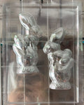 Molde plástico transparente, Conejo de pascua sobre huevo 1