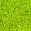 Palito fondant Verde claro
