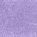 Palito fondant Morado